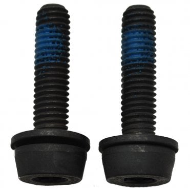 Campagnolo Flat Mount Rear Caliper Bolts 20-24 mm Screws x2 - 29 mm