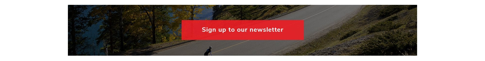 Newsletter sign up