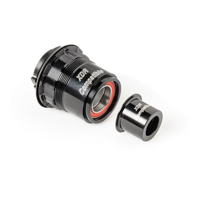 DT Swiss Pawl Freehub Conversion Kit - 142/12 mm - SRAM XDR