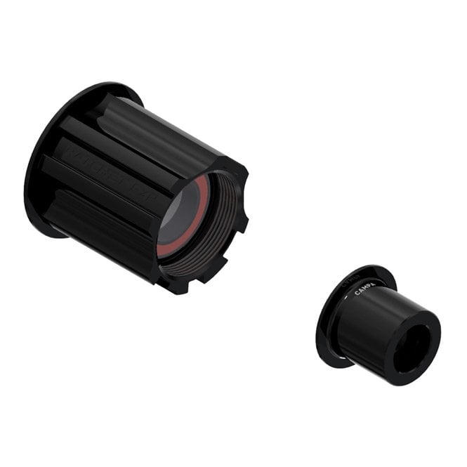 DT Swiss Ratchet EXP Freehub Conversion Kit - 142 / 12 mm - Campagnolo Road