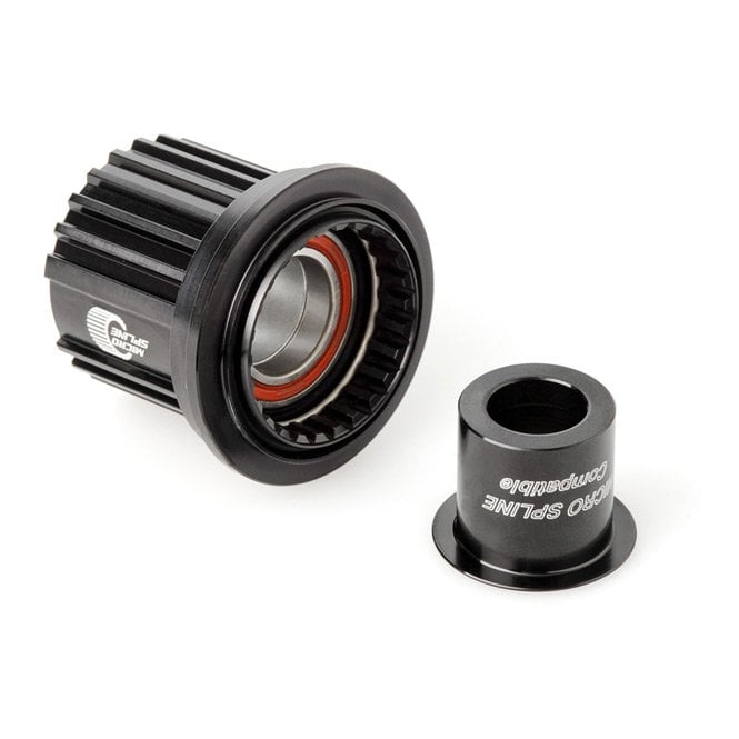 DT Swiss Ratchet Freehub Conversion Kit - 142 mm / 12 mm or Boost - Shimano Micro Spline