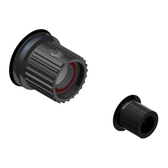 DT Swiss Steel Ratchet LN Freehub Conversion Kit - 142 mm / 12 mm or Boost - Shimano Micro Spline