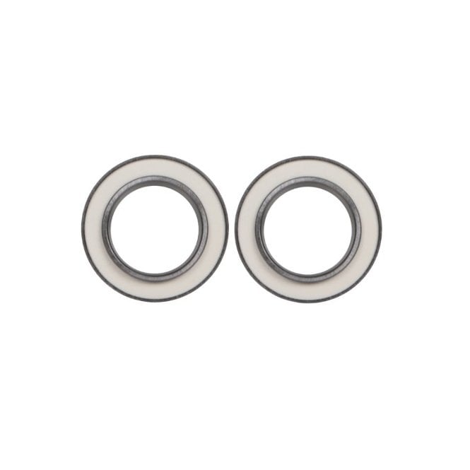 Fulcrum Rear Hub Service Kit (RS-100)