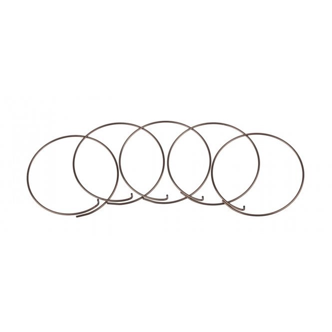 Fulcrum Spring Pawl FW Body MTB