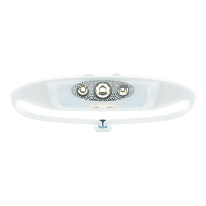 Knog Bandicoot Run 250 Head Torch - Blue