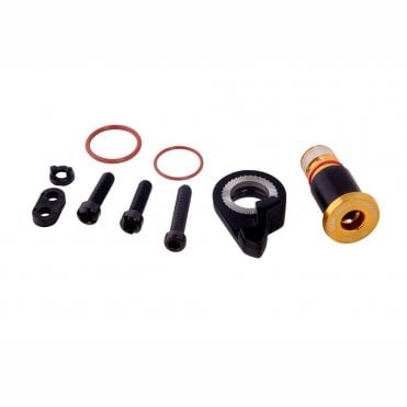 SRAM Spare - Rear Derailleur B-bolt and Limit Screw Kit XX1 Eagle HEX5 - Gold