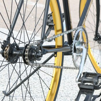 Wheels and chainring of a pedal bike